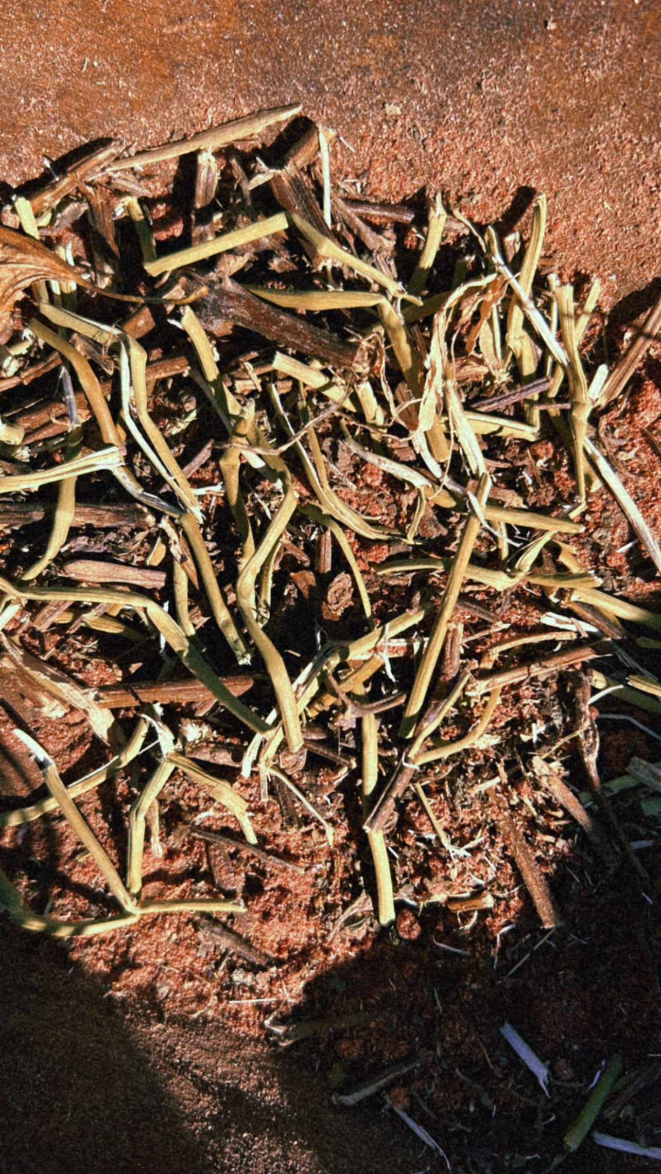 shift Herbal Incense Blend