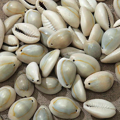 Cowrie Shells (50pcs)